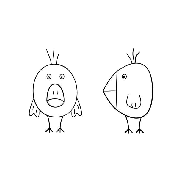 Hand Drawn Childish Coloring Page Of Cartoon Bird Outline Drawing Of Bird  Front And Side View Vector Illustration Suitable For Coloring Books Stock  Illustration - Download Image Now - iStock