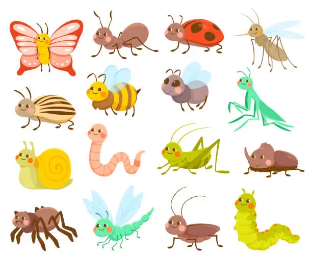 Vector illustration of Large set of cute cartoon insects or bugs