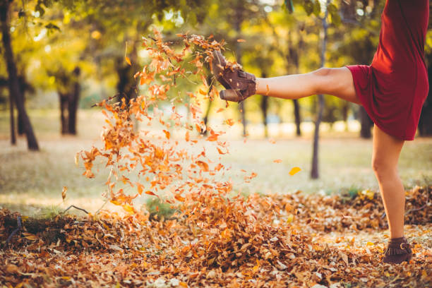 istock Kicking heap of dry leaves 1271776770