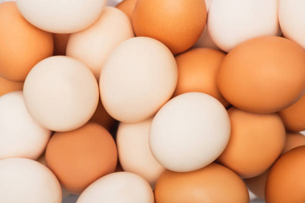 istock top view of colorful fresh chicken eggs 1271778744