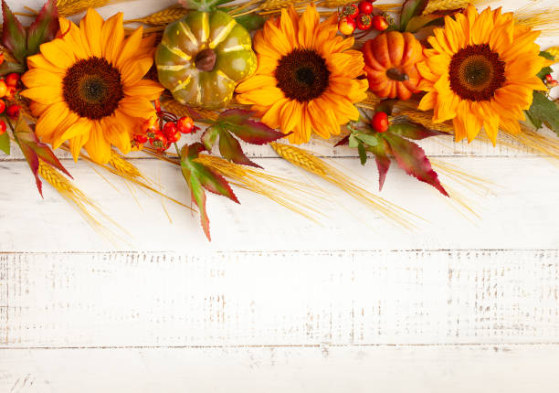 istock Concept of fall harvest 1271779049