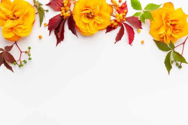 Autumn composition with flowers, leaves and berries on white background. Flat lay, copy space.
