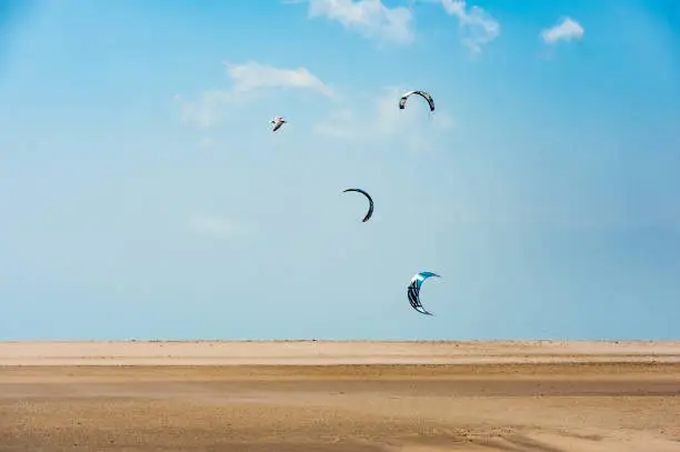 Three kites and a seagull appear over the dune without the kiters visible.