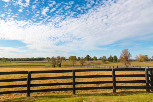 Beautiful autumn country landscape with pastures of horse farms. stock photo