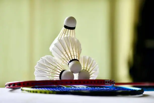 Photo of Badminton