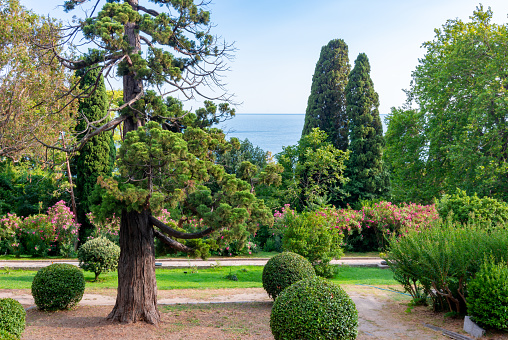 Landscape of Vorontsov palace park in southern Crimea
