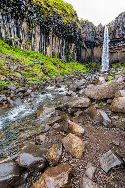 istock Svartifoss waterfall with river wide angle vertical view on trail in Skaftafell national park in Iceland view water falling off cliff in green summer landscape 1271787728