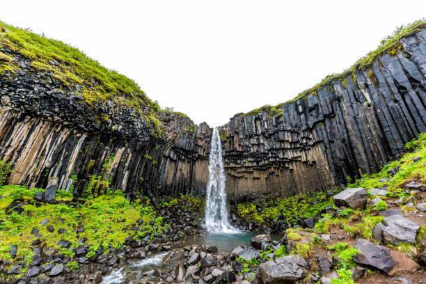 svartifoss cascada arroyo río gran angular vista sobre el sendero en el parque nacional skaftafell en islandia ver el agua cayendo del acantilado en el paisaje verde de verano - flowing water stream moss river fotografías e imágenes de stock