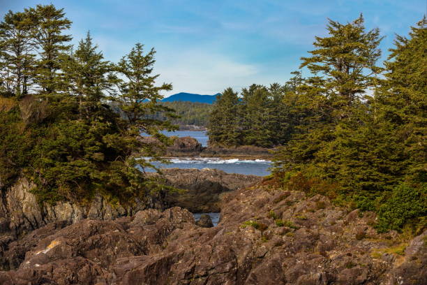 istock Rocky coast of Vancouver Island 1271789314