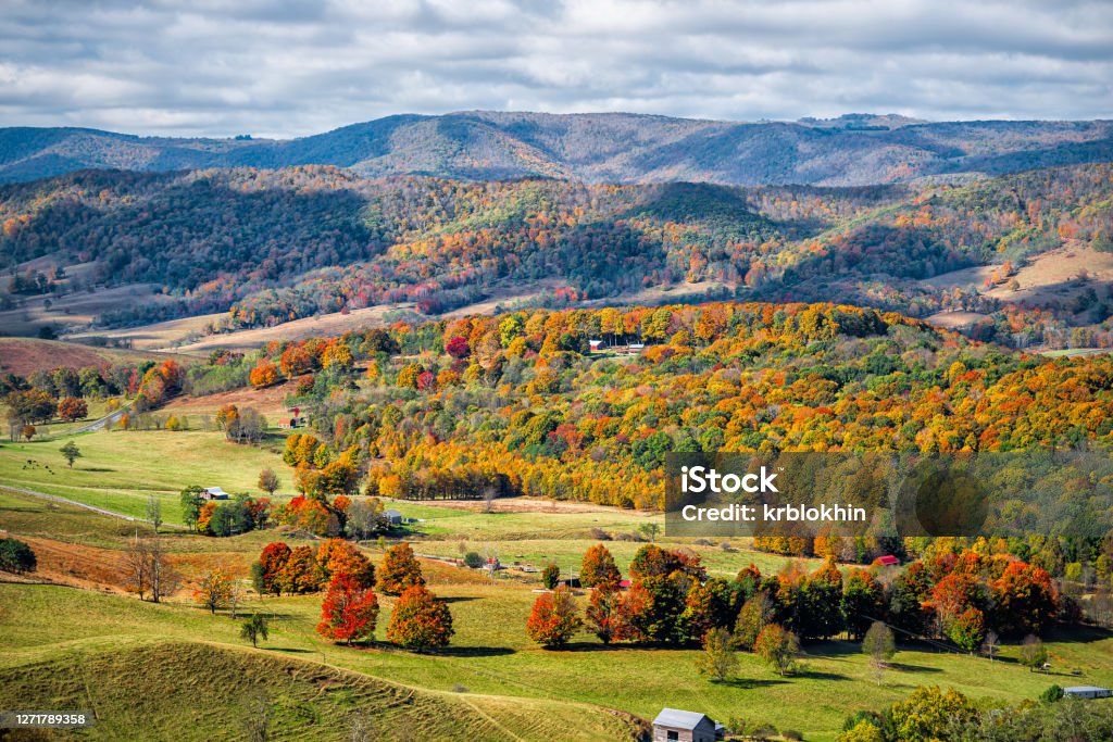 Autumn fall orange red colorful trees forest and farm houses buildings on rolling hills aerial above high angle view landscape in Monterey and Blue Grass, Highland County, Virginia Virginia - US State Stock Photo