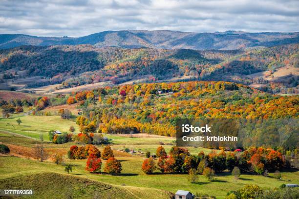 Autumn Fall Orange Red Colorful Trees Forest And Farm Houses Buildings On Rolling Hills Aerial Above High Angle View Landscape In Monterey And Blue Grass Highland County Virginia Stock Photo - Download Image Now