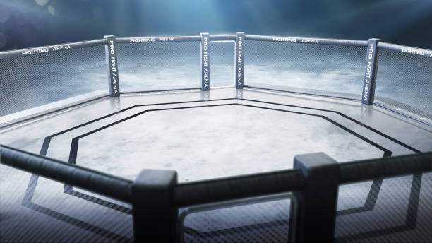 Octagon 3D. Fighting octagon top view. Pro fight arena. Cage night. 3D rendering