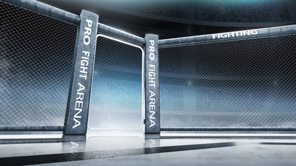 istock 3D illustration octagon. Fighting Championship. Fight night. 3D octagon on the light. Bottom view. Sport 1271791395