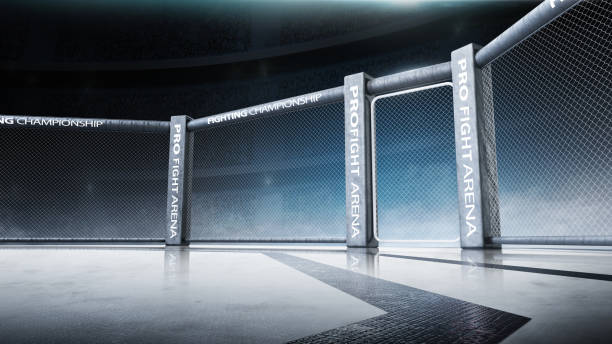 istock 3D MMA octagon. Side scene view under lights. Fighting Championship. 3D illustration. Fight night. MMA octagon 1271791485
