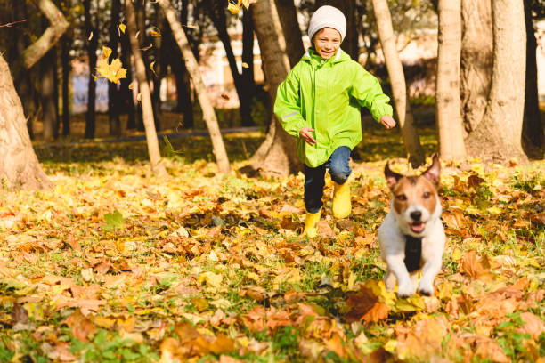 herbst outdoor-aktivitätskonzept mit kleinem glücklichen jungen im grünen regenmantel läuft nach hund im herbstpark am septembertag - dog walking child little boys stock-fotos und bilder