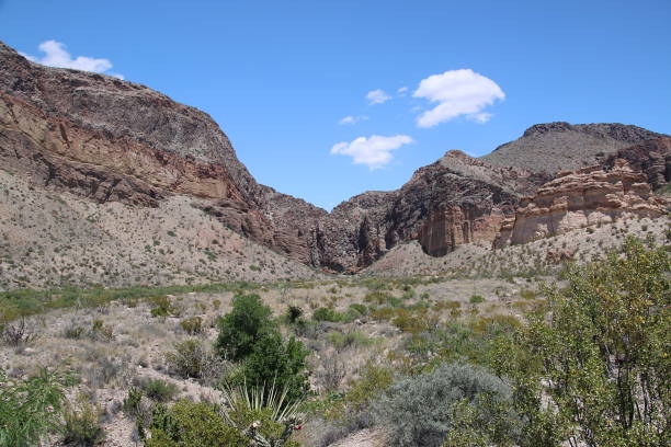 istock Big Bend National Park - Texas 1271795847