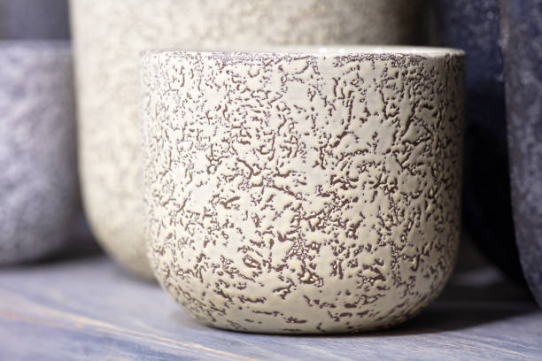 istock Empty garden pots in a row close up 1271797057