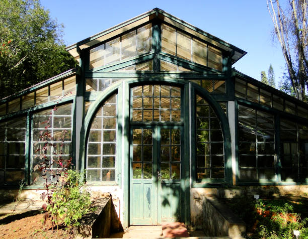 istock Ibirapuera's greenhouse 1271799316