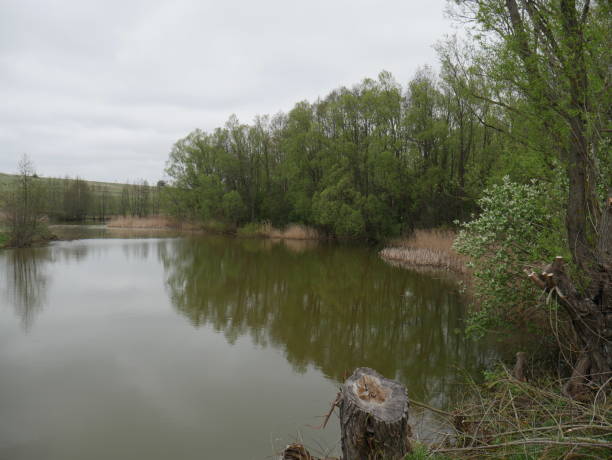 istock river and forest in autumn in the village 1271830718