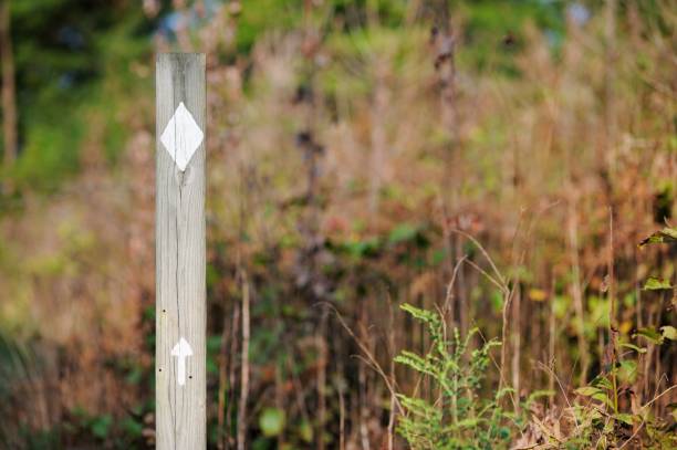 istock Trail blaze post with arrow 1271842486