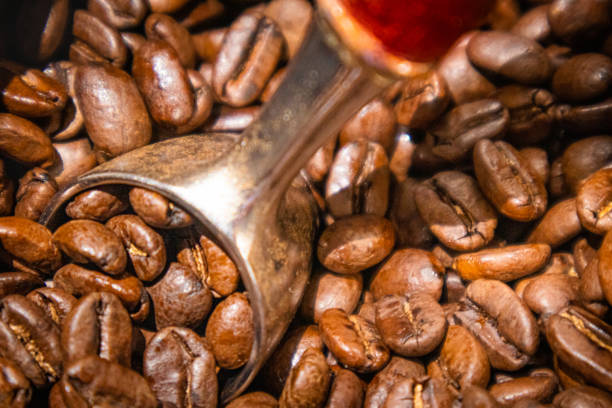 Close Up of Coffee with Scoop Close view of coffee beans with wooden handled scoop"r bavering Coffea Arabica In California USA stock pictures, royalty-free photos & images