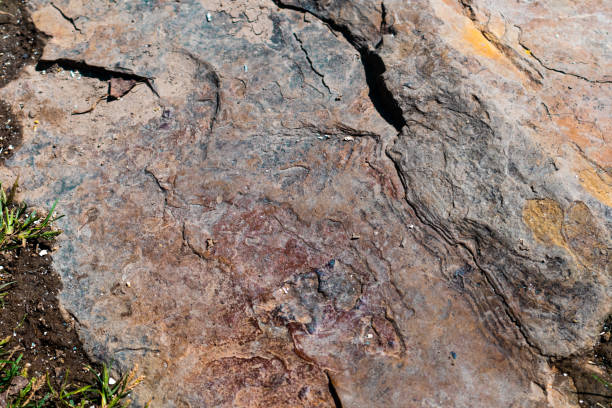 istock Detail of Large Old Flat Stone 1271843874