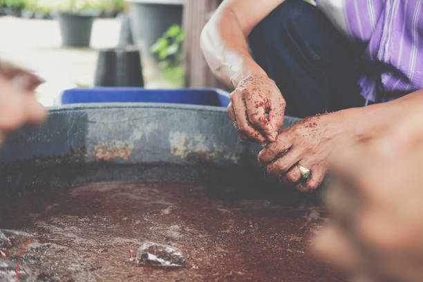 istock hand putting coconut coir in plastic bag for grafting plant tree 1271844932