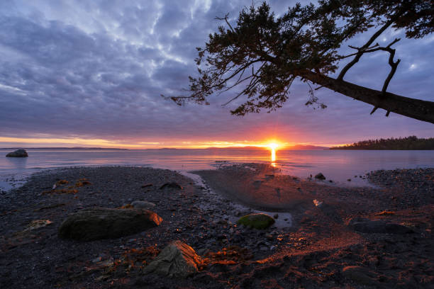 istock Mount Doug at Sunrise in Victoria BC 1271845148