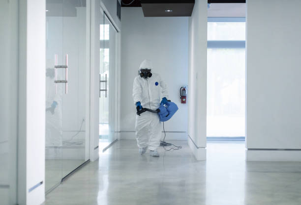 istock Office sanitation during the 2020 pandemic 1271848447