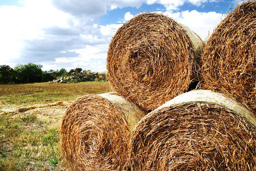 Stack of hay bales on a cloudy sky background