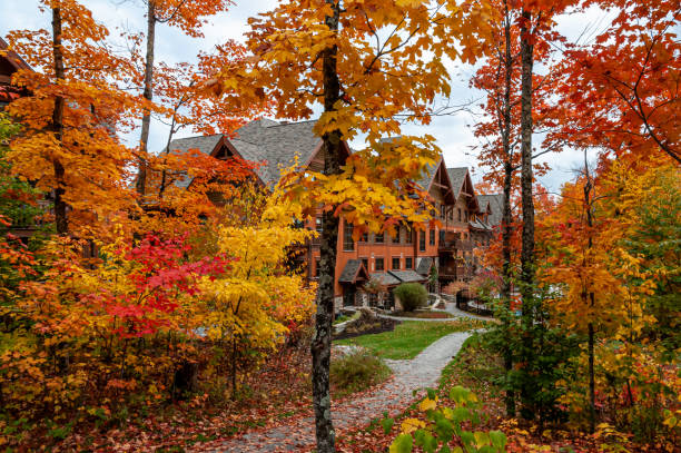 istock Buildings surrounded by beautiful maple trees in autumn 1271856560