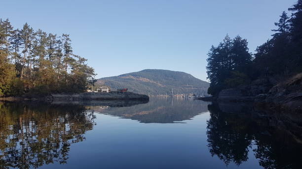 Maple Bay Morning Reflection A beautiful calm morning on Maple Bay. This beautiful bay is situated just north of Sidney and across from the west island Bay of Salt Spring Island. duncan british columbia stock pictures, royalty-free photos & images