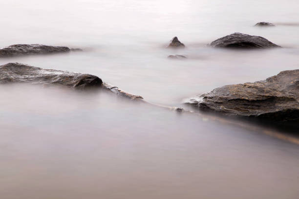 istock Driftwood and rocks in  water 1271864803