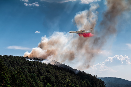 Big amphibious fire airplane drops water on forest fire