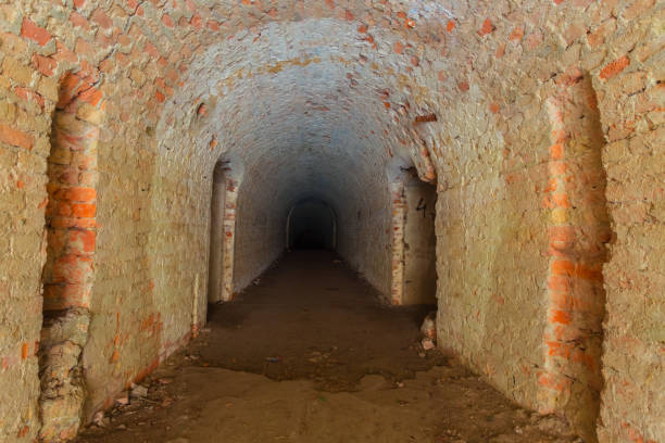istock ukraine, tarakanov fortress ruin 1271867509