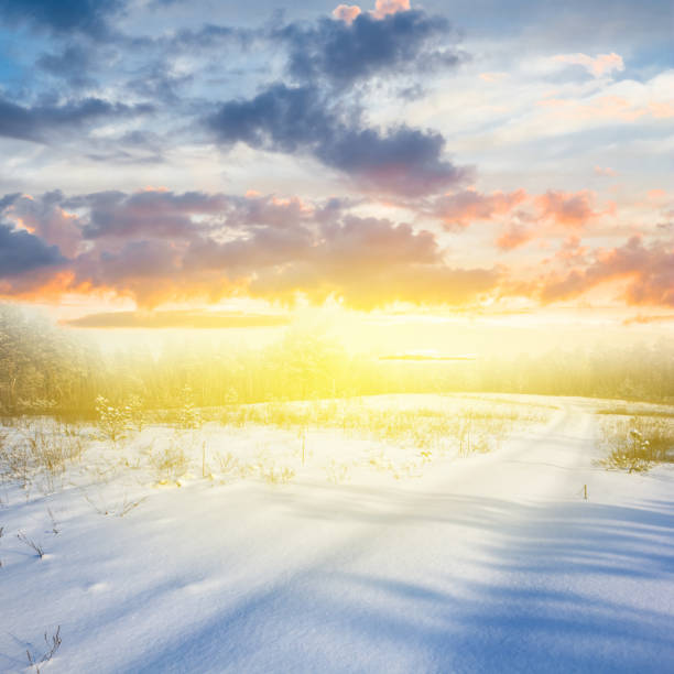 istock winter snowbound landscape at the evening 1271867515