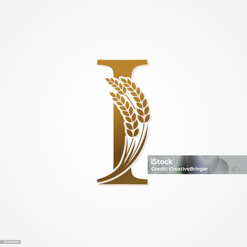 Golden Rice Key Logo Gold Letter With Rice For Logo Design Vector Stock Illustration ...