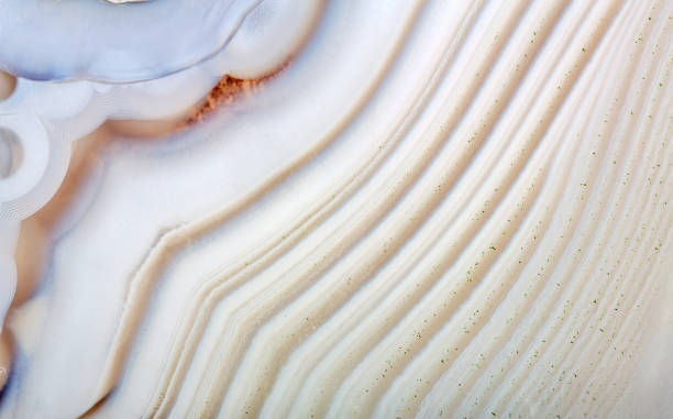istock detailed background from wide lined of grey agate 1271871282