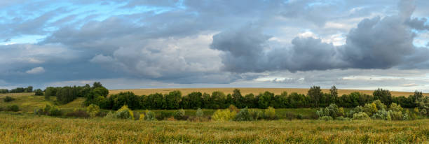 istock Summer panoramic landscape with dark rainy clouds over the golden fields 1271871309