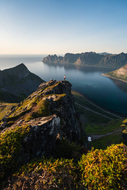 une femme restant au sommet du sommet de montagne de husfjellet dans l’île de senja en saison d’été, norvège - tromso lofoten and vesteral islands lofoten norway photos et images de collection