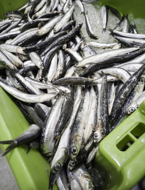 istock Anchovies and sardines fishmonger 1271873349