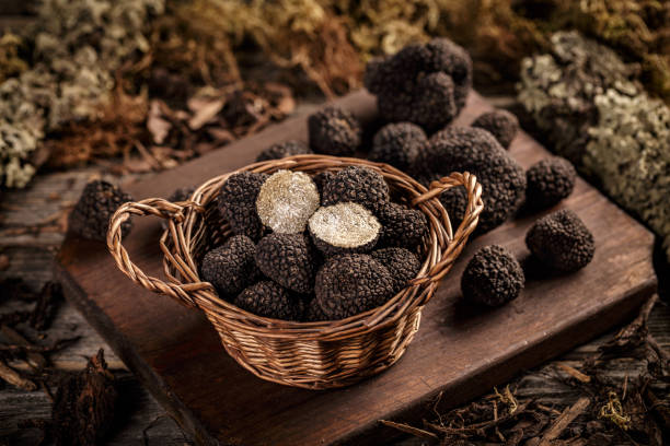 istock Expensive black truffles gourmet mushrooms 1271876205