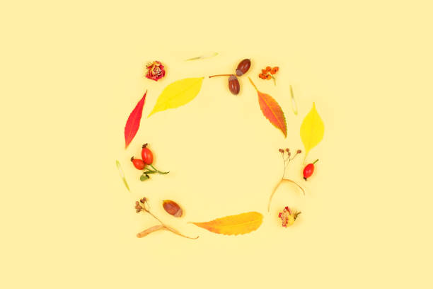 istock Frame made of dried flowers and fallen leaves. 1271876393
