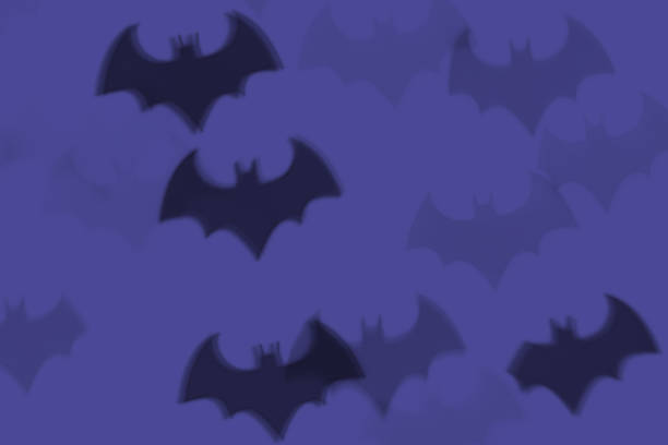 DSLR photo - defocused bokeh with bat shape on a purple background. Can be used as a Halloween background. It's a real bokeh photo, not an illustration or computer filter.
