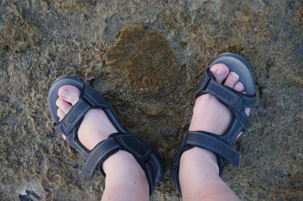 istock czech tourist on the beach 1271887784