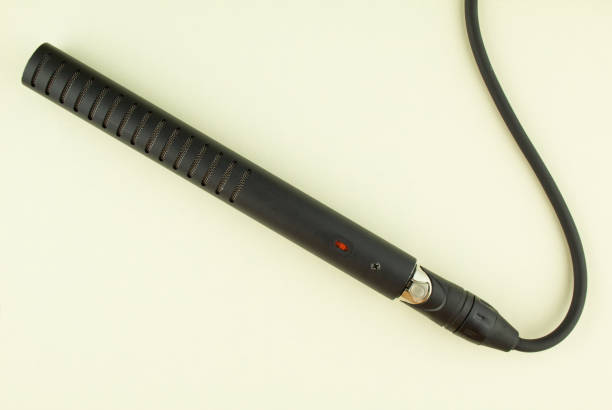 istock Professional instrumental condenser microphone with cable on beige background. 1271889743