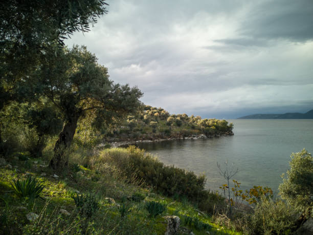 istock Scenic view of Lake Bafa 1271889878