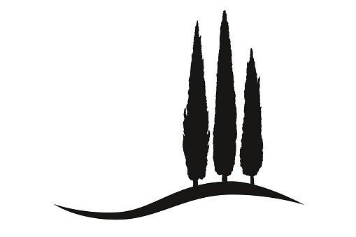 three isolated mediterranean vector cypress trees icon logo silhouette on a hill