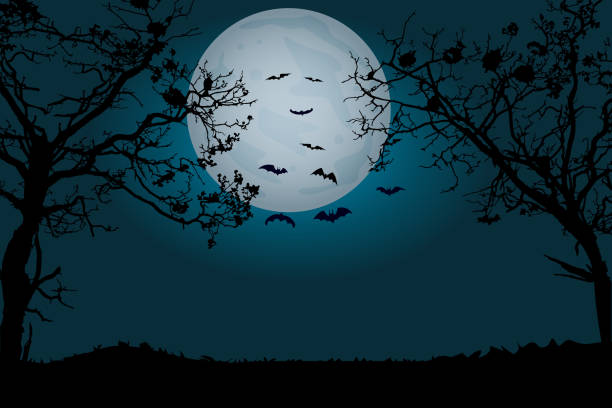 ilustrações, clipart, desenhos animados e ícones de fundo da floresta à luz da lua com silhuetas de morcegos. banner assustador de festa de halloween com espaço de cópia. - cemetery halloween moon spooky
