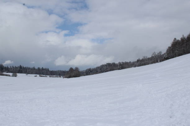 istock Lausanne Chalet in Gobet 1271898141